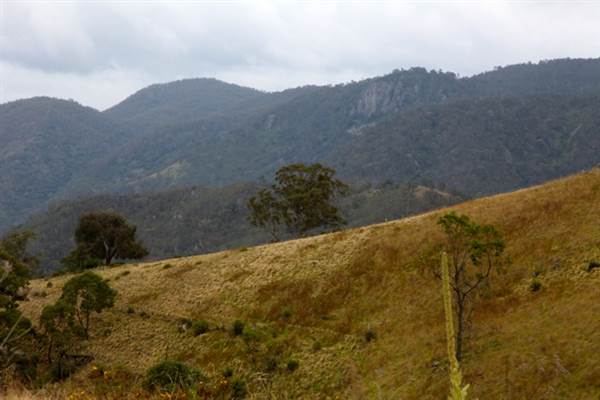 Wollondilly River Station (28/11/2013)