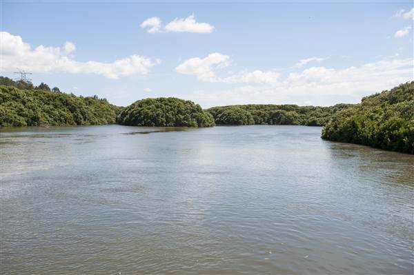 Georges River (5/12/2013)