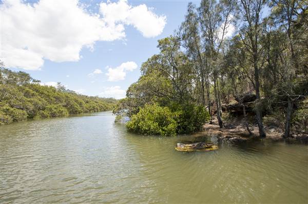 Georges River (5/12/2013)
