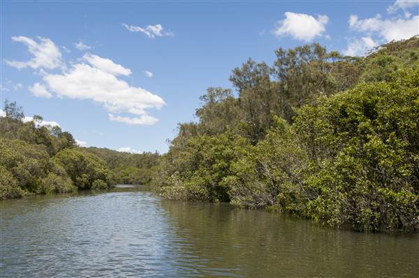 Georges River (5/12/2013)