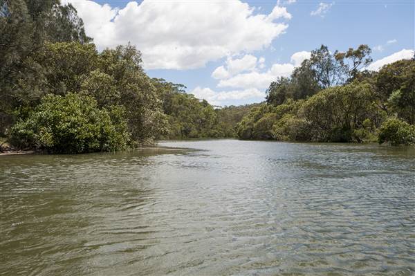 Georges River (5/12/2013)