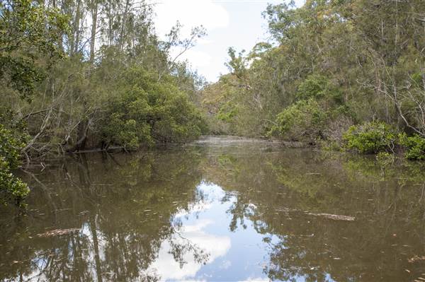 Georges River (5/12/2013)