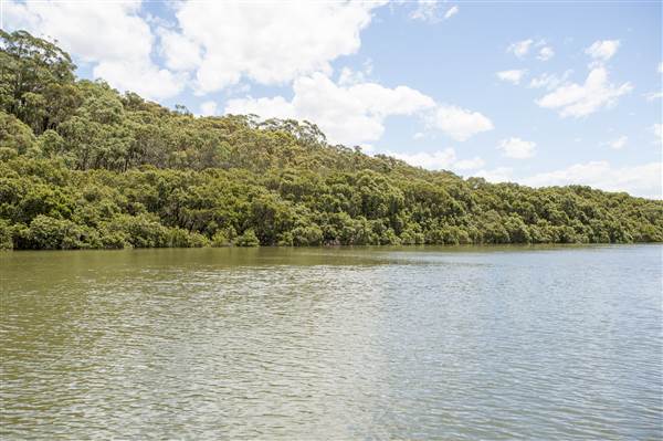Georges River (5/12/2013)