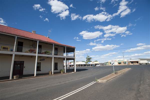 Trundle (25/11/2013)