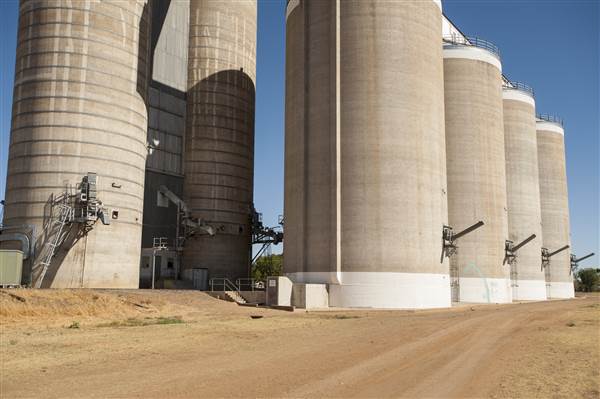 Coonamble (26/11/2013)