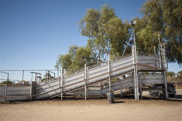 Coonamble (26/11/2013)