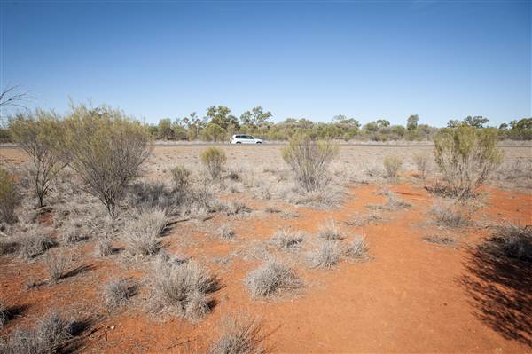 Bourke (11/12/2013)