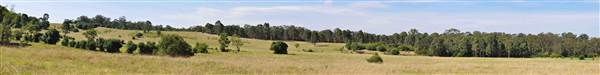 Scenic NSW Equine Centre (25/09/2013 - Credits: Ivy Carrano, Garth Birch)