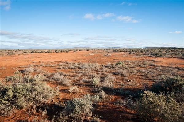 Pinnacles - Broken Hill (6/06/2013 - Credits: Colin McDougall)