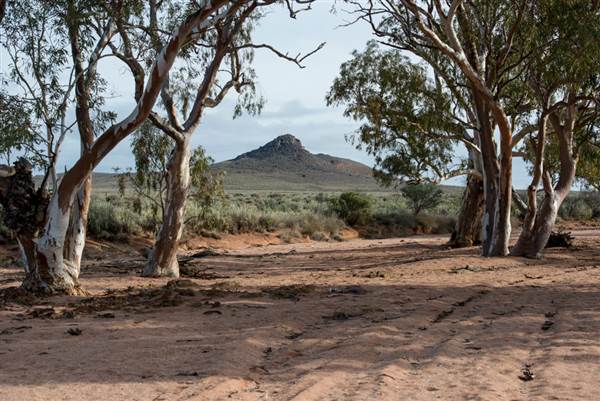 Pinnacles - Broken Hill (6/06/2013 - Credits: Colin McDougall)