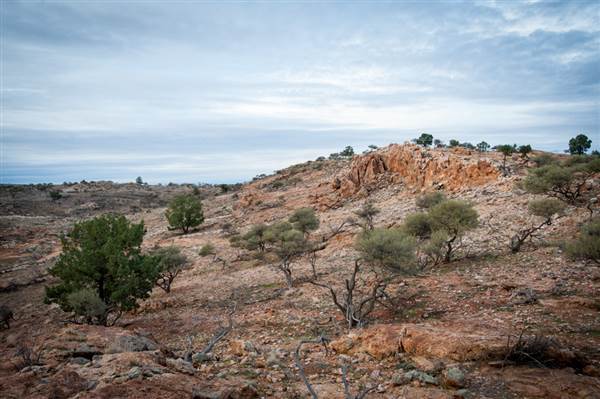 Mount Gipps Station (6/06/2013 - Credits: Colin McDougall)