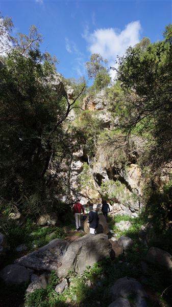 Jenolan Caves (9/06/2014 - Credits: Mary Barltrop)