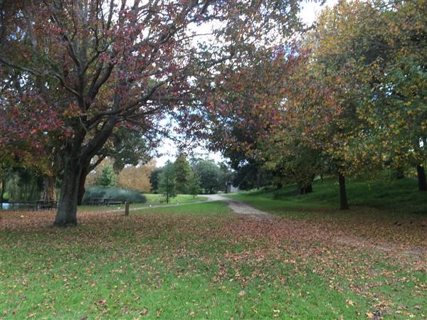 Centennial Park (25/06/2014)
