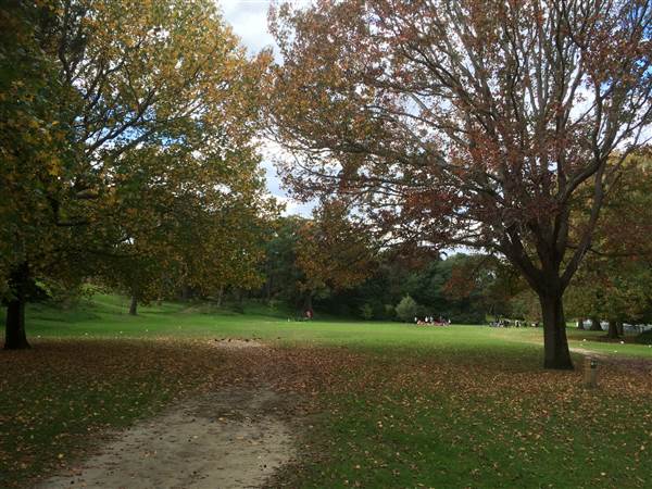Centennial Park (25/06/2014)