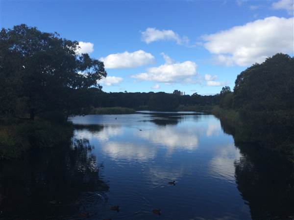 Centennial Park (25/06/2014)