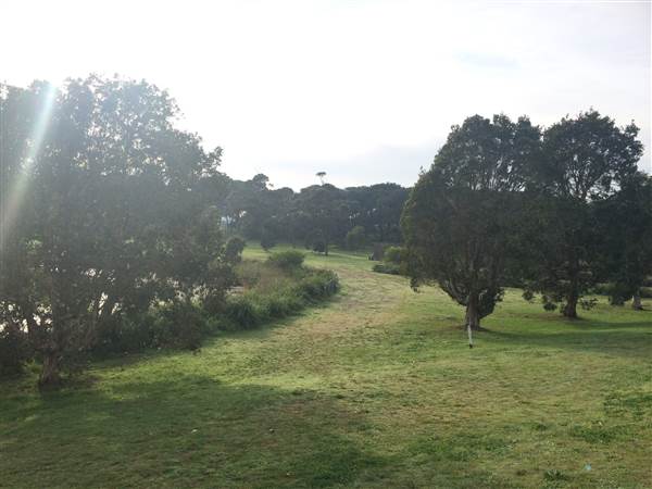 Centennial Park (25/06/2014)