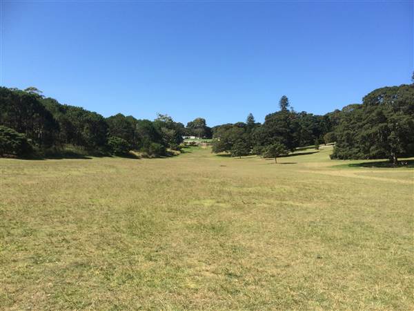 Centennial Park (25/06/2014)
