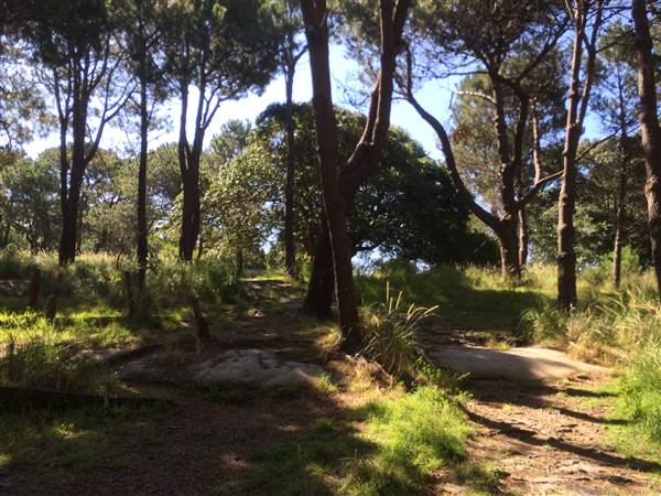 Centennial Park (25/06/2014)
