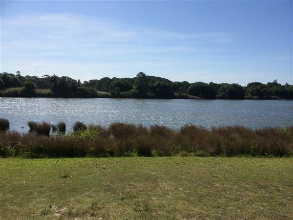 Centennial Park (25/06/2014)