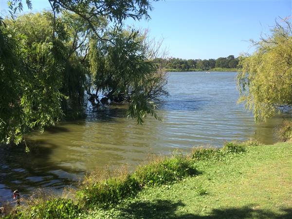 Centennial Park (25/06/2014)