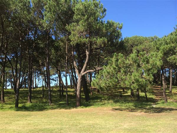Centennial Park (26/06/2014)