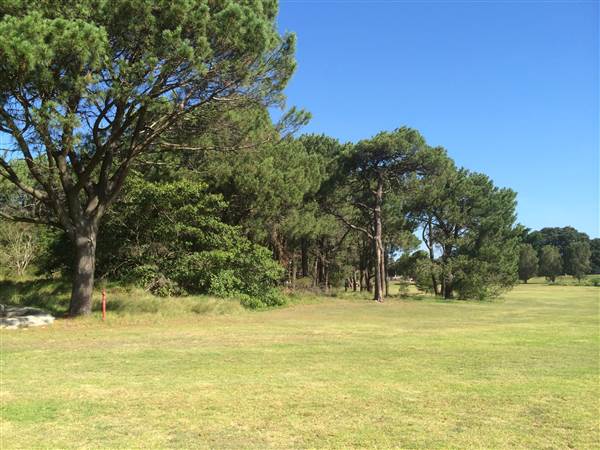 Centennial Park (26/06/2014)