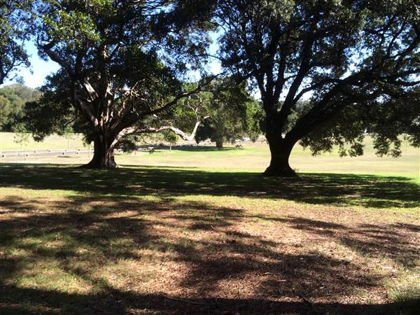 Centennial Park (26/06/2014)