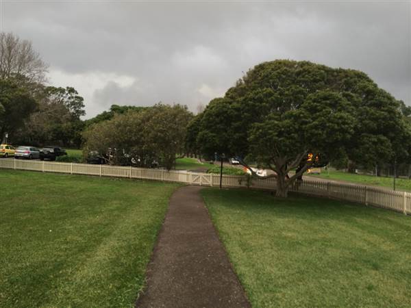 Centennial Park (26/06/2014)
