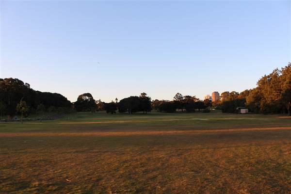 Centennial Park - Loch Ave South (7/07/2014)