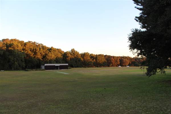 Centennial Park - Loch Ave South (7/07/2014)