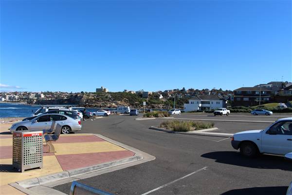 Clovelly Beach (7/07/2014)