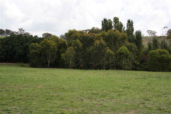 Carcoar Churches 2014 (9/03/2014)
