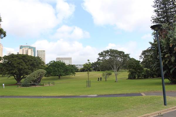 Maiden Theatre - Royal Botanic Garden Sydney (24/10/2014)
