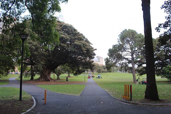 The Domain - Royal Botanic Garden Sydney (24/10/2014)