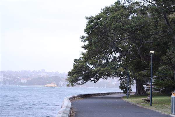 Mrs. Macquarie's Point - Royal Botanic Garden Sydney (24/10/2014)