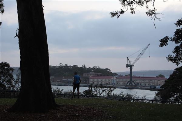 Mrs. Macquarie's Point - Royal Botanic Garden Sydney (24/10/2014)