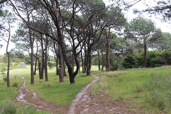 Centennial Park - Ash Paddock (24/10/2014)