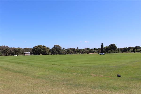 Centennial Park - Brazilian Fields (24/10/2014)