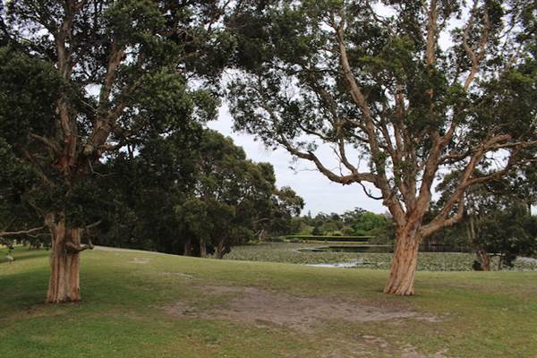 Centennial Park - Church Grounds (24/10/2014)