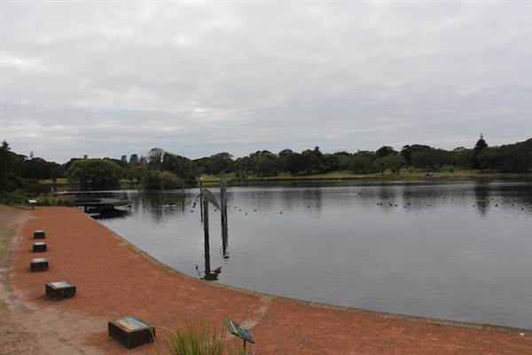 Centennial Park - Duck Pond (24/10/2014)