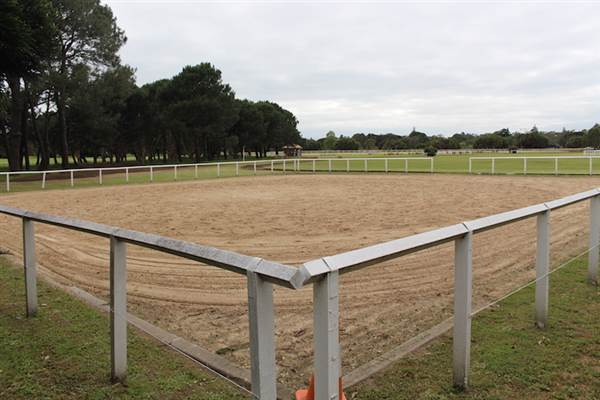 Centennial Park - Equestrian Grounds (24/10/2014)