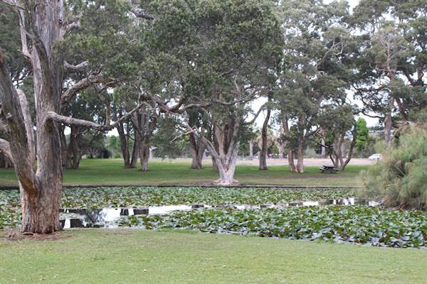 Centennial Park - Lachlan Reserve (24/10/2014)
