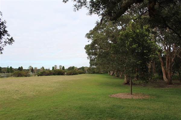 Centennial Park - Lachlan Swamp (24/10/2014)