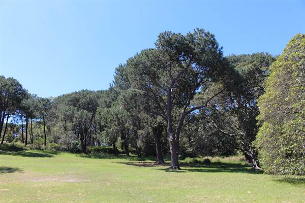 Centennial Park - Parade Grounds (24/10/2014)