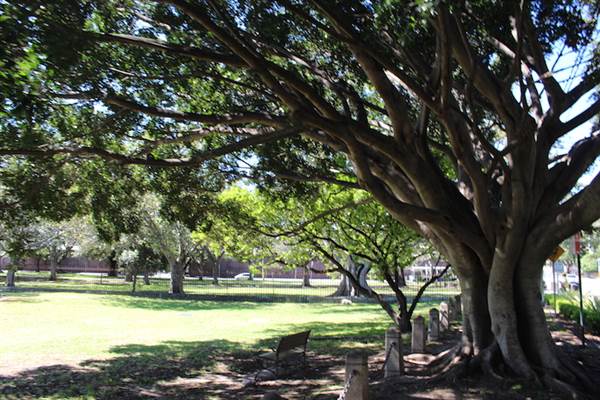 Centennial Park - Robertson Road (24/10/2014)