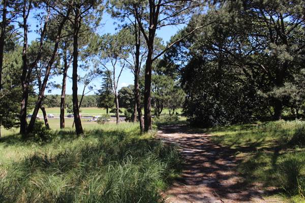 Centennial Park - Sandstone Ridge (24/10/2014)