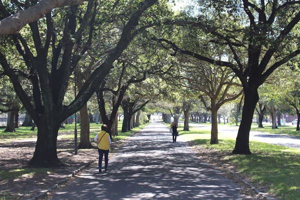 Centennial Park - Federation Way (24/10/2014)