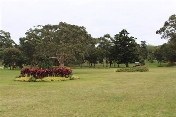 Centennial Park - Frog Hollow (24/10/2014)