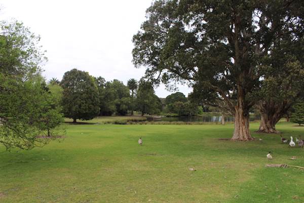 Centennial Park - Frog Hollow (24/10/2014)