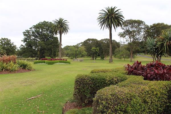 Centennial Park - Frog Hollow (24/10/2014)